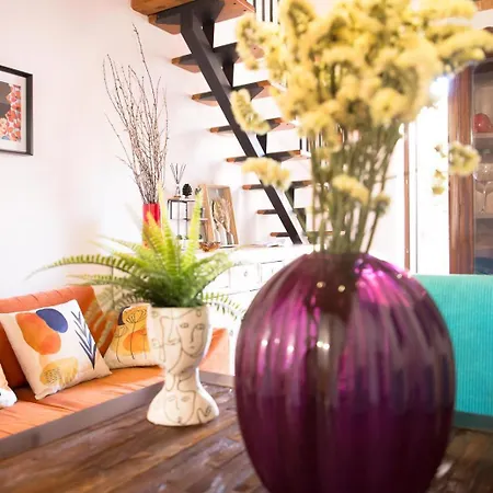 Apartment Mau House 44 *